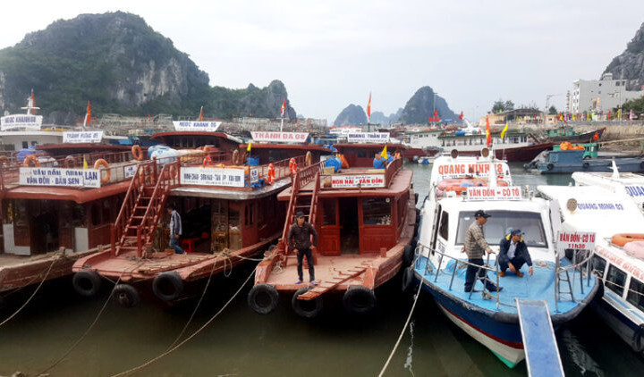 Khẩn trương di dời phương tiện neo gần cầu, phòng ngừa va trôi trong mưa lũ