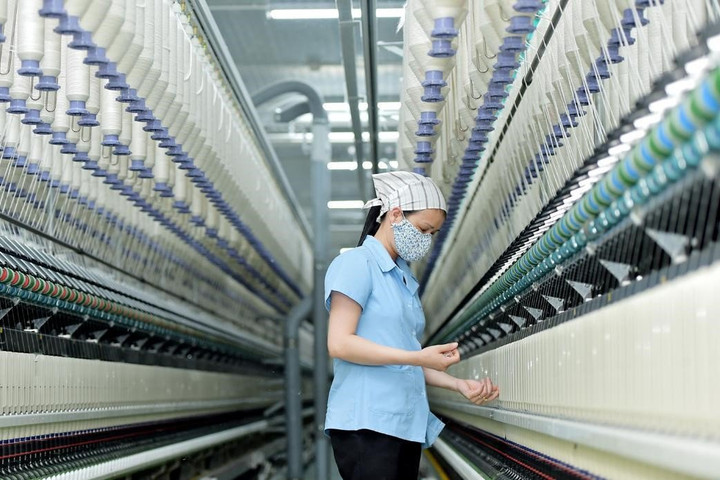 Truy xuất nguồn gốc, giảm rủi ro xuất khẩu sang Hoa Kỳ