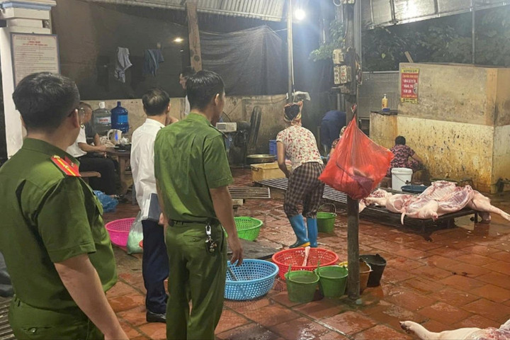 Phát hiện 2 cơ sở tại xã Yên Lãng có hoạt động giết mổ lợn trái quy định