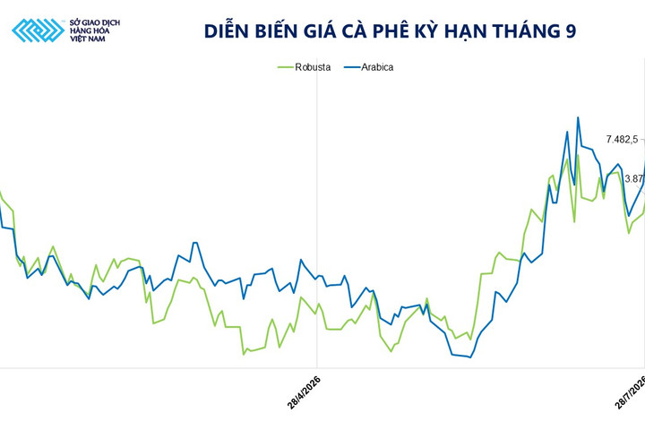 Giá dầu giảm sâu, MXV-Index tiếp tục suy yếu