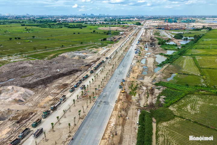 Đại lộ rộng 120 mét dẫn tới sân vận động Hùng Vương được phủ kín dọc hàng cây hoa ban