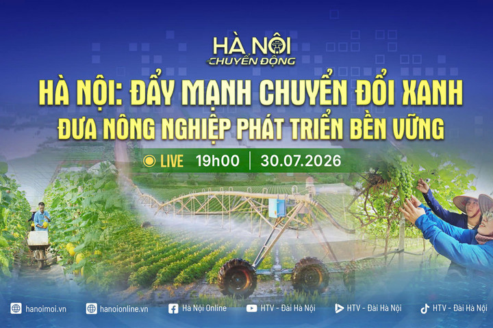 [TRỰC TIẾP] Hà Nội chuyển động: Hà Nội đẩy mạnh chuyển đổi xanh - Đưa nông nghiệp phát triển bền vững
