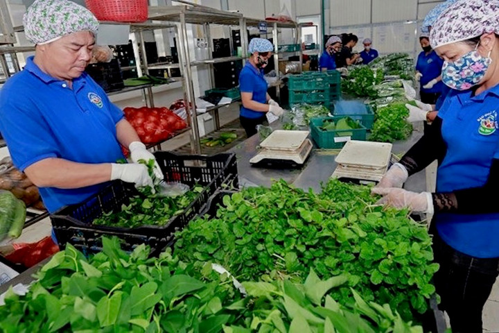 Hà Nội phát triển chuỗi nông sản an toàn gắn với truy xuất nguồn gốc