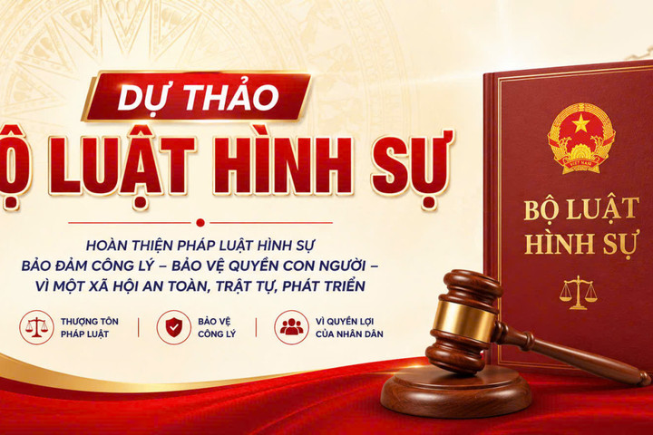 Góp ý về đề xuất nộp tiền để được hưởng án treo