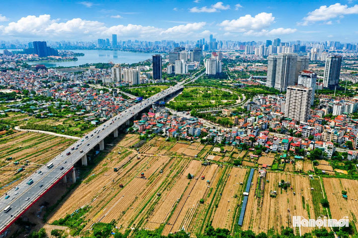 Tổ chức Cuộc thi trực tuyến “Thủ đô Hà Nội cùng dân tộc trong kỷ nguyên mới”