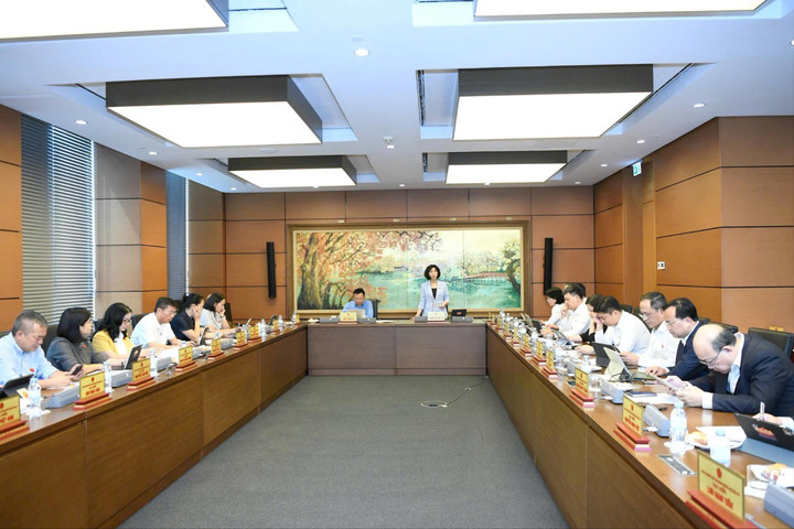 Đại biểu Quốc hội kiến nghị bổ sung cơ chế ưu tiên trong thông quan hàng hóa