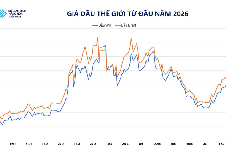 Giá dầu giảm mạnh, MXV-Index giảm ba phiên liên tiếp