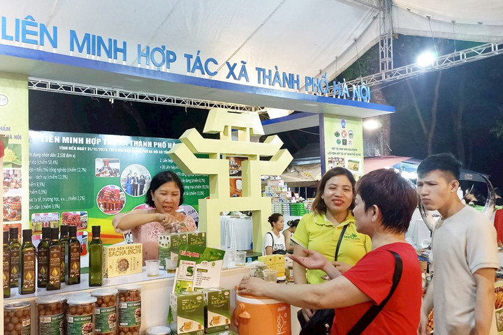 Quỹ hỗ trợ phát triển hợp tác xã thành phố đạt dư nợ 155,629 tỷ đồng