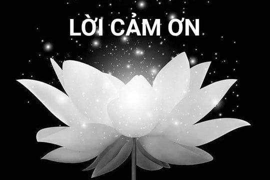 LỜI CẢM ƠN