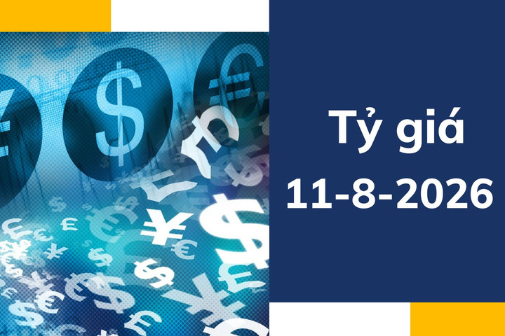 Tỷ giá USD ngày 11-8: USD nhích tăng, thị trường chờ tín hiệu từ CPI Mỹ
