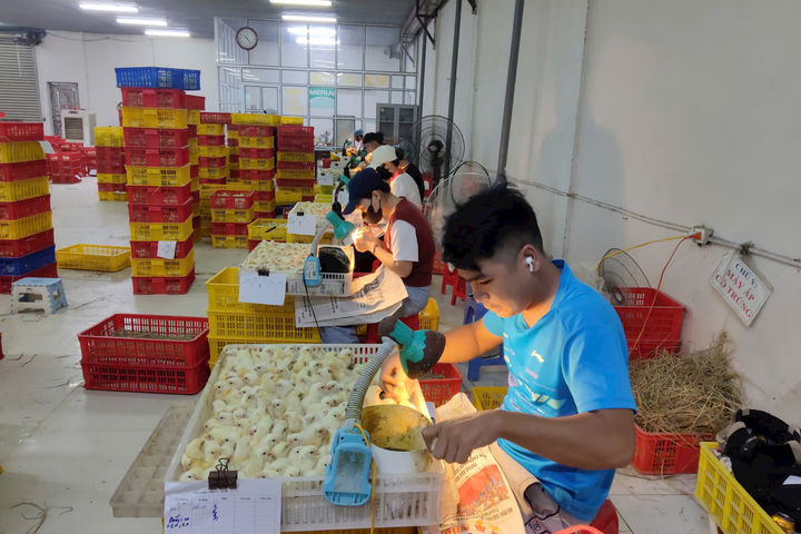 Thí điểm mô hình xã phường xã hội chủ nghĩa: Doanh nghiệp và chính quyền đồng hành kiến tạo phát triển