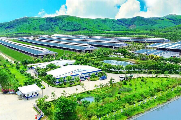 Tiêu chuẩn xanh: Từ "giấy thông hành" đến lợi thế cạnh tranh của hàng Việt