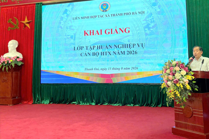 Tập huấn công tác quản lý và kiểm soát hợp tác xã tại các xã Thanh Oai, Tam Hưng, Bình Minh, Dân Hòa