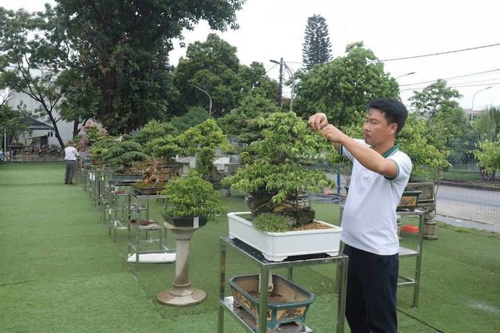 Thư Lâm nâng giá trị nông nghiệp từ những mô hình xanh và số hóa