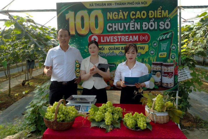 Thúc đẩy kinh tế số từ những việc làm gần dân