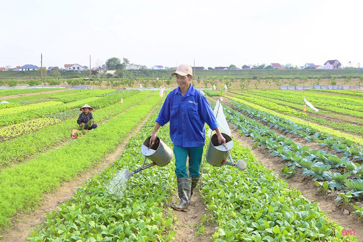 Bảo đảm khung thời vụ với cơ cấu dịch chuyển tích cực