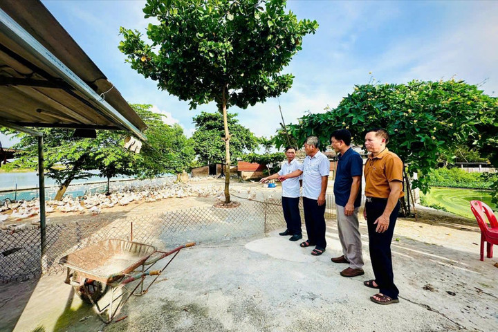 Hồng Sơn tiếp sức nông dân phát triển kinh tế
