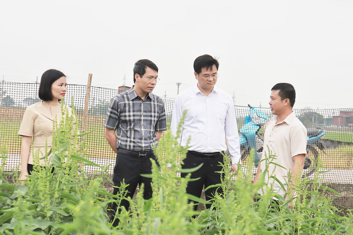 Hà Nội xây dựng nông thôn mới giai đoạn 2026-2030: Chủ động rà soát, rõ người, rõ việc
