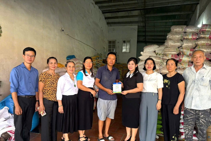 Khơi thông nguồn lực cho hộ kinh doanh: Chính sách cần đồng bộ, tương xứng và khả thi