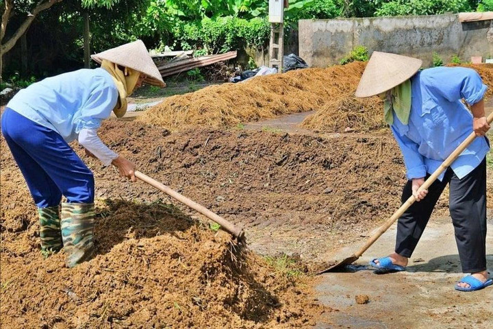 Biến phụ phẩm nông nghiệp thành tài nguyên có giá trị