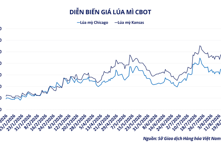 MXV-Index lên 2.900 điểm, lúa mì tăng 43% sau một năm