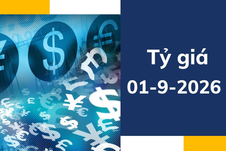 Tỷ giá USD ngày 1-9: Ổn định