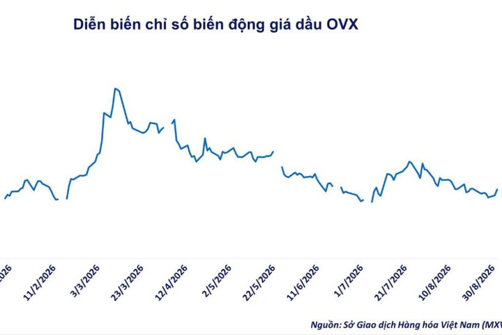 Giá dầu tăng, MXV-Index sắp chạm ngưỡng 3.000 điểm
