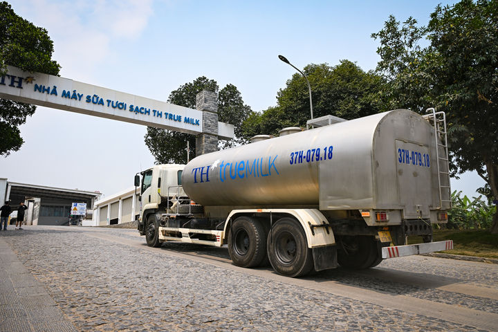 Sữa tươi thanh trùng - phép thử khắt khe cho cam kết “Thật sự thiên nhiên” của TH true MILK