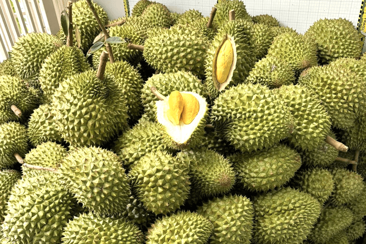 Xuất khẩu rau quả tăng trưởng mạnh, hướng tới mốc 10 tỷ USD