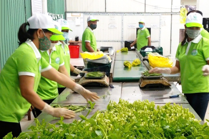 Nông nghiệp Hà Nội chủ động tạo thêm dư địa tăng trưởng