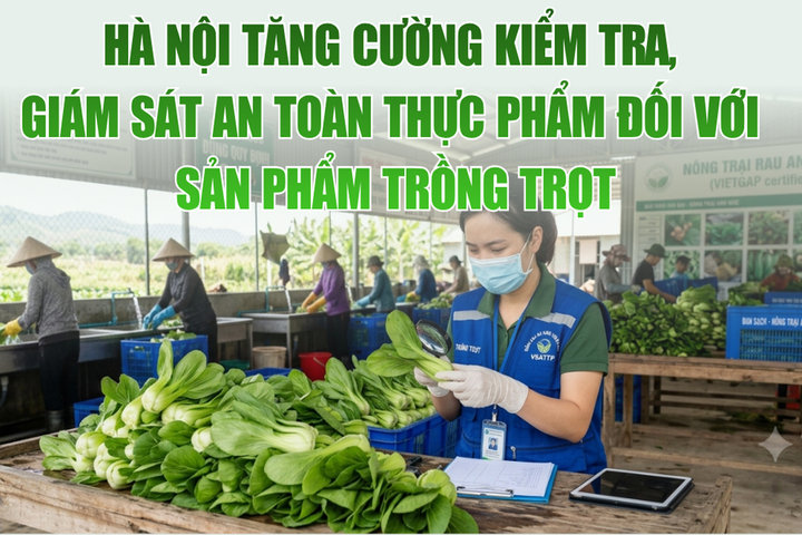 Hà Nội tăng cường kiểm tra, giám sát an toàn thực phẩm đối với sản phẩm trồng trọt