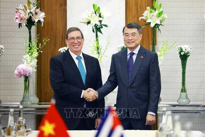Việt Nam - Cuba tiếp tục làm sâu sắc quan hệ hữu nghị đặc biệt