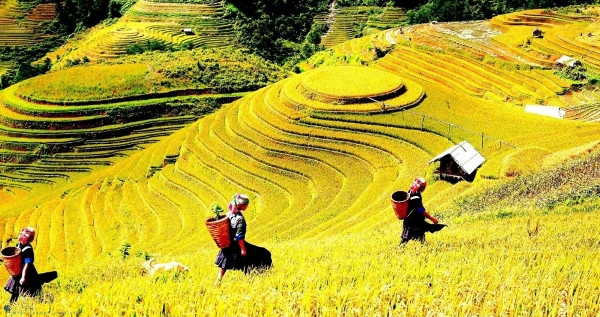 Việt Nam đứng thứ 4 trong 15 điểm đến dẫn đầu xu hướng du lịch mùa thu 2026