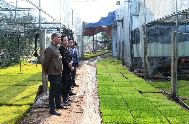 Nông dân huyện Phú Xuyên sẵn sàng cho vụ sản xuất lớn nhất trong năm