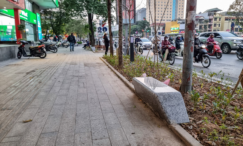 Hàng loạt ghế đá 'mini' được lắp đặt dưới hàng hoa sữa cổ thụ ở Hà Nội
