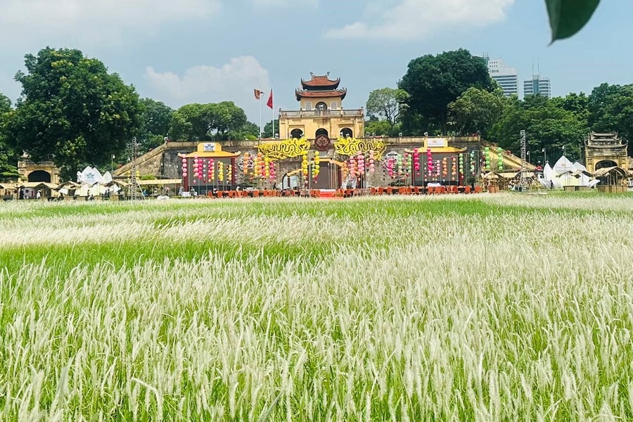 Hà Nội bày “đặc sản” mùa thu đón khách