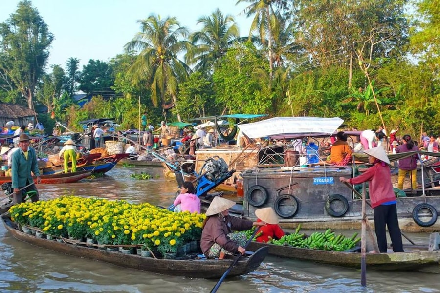 Tết về nghe cây lá thương mình