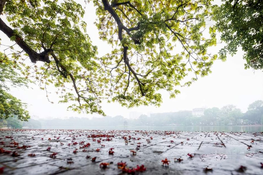 Hà Nội, miền nhớ miền thương...