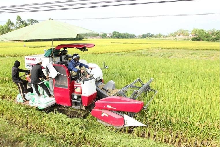 Chính phủ đề nghị tiếp tục miễn thuế sử dụng đất nông nghiệp đến hết năm 2030