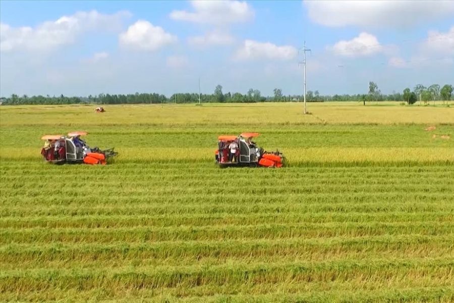 Hướng dẫn về chi phí tách thửa đất nông nghiệp mới nhất 2025