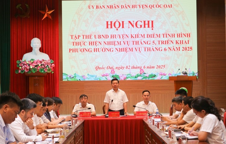 Quốc Oai đấu giá đất được hơn 461 tỷ đồng