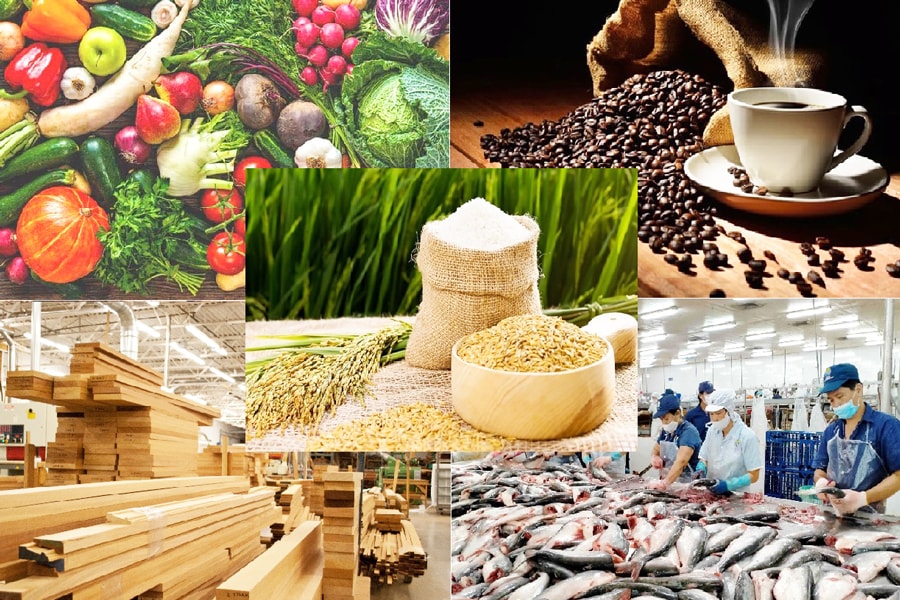 Xuất khẩu nông, lâm, thủy sản 5 tháng đạt hơn 28 tỷ USD