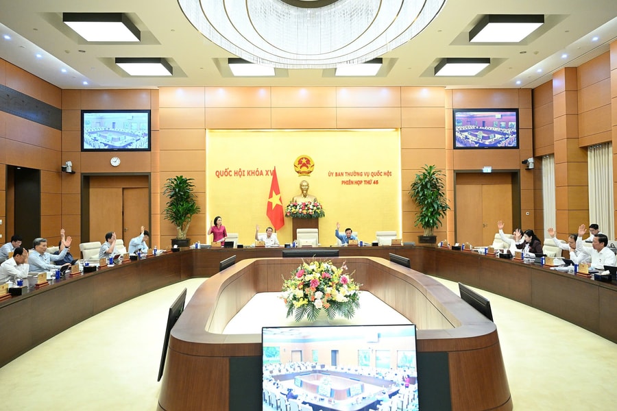 Đại biểu Quốc hội chuyên trách phải thực hiện đúng quy định về quản lý cán bộ