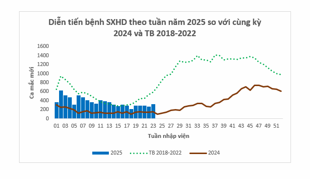 TP Hồ Chí Minh: Số ca sốt xuất huyết tăng hơn 131% so với cùng kỳ