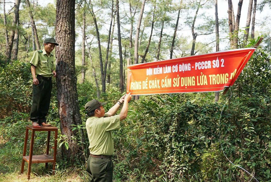 Tăng cường thực hiện công tác quản lý bảo vệ rừng, phòng cháy, chữa cháy rừng