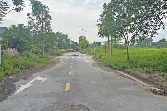 Khơi thông nguồn lực đất đai