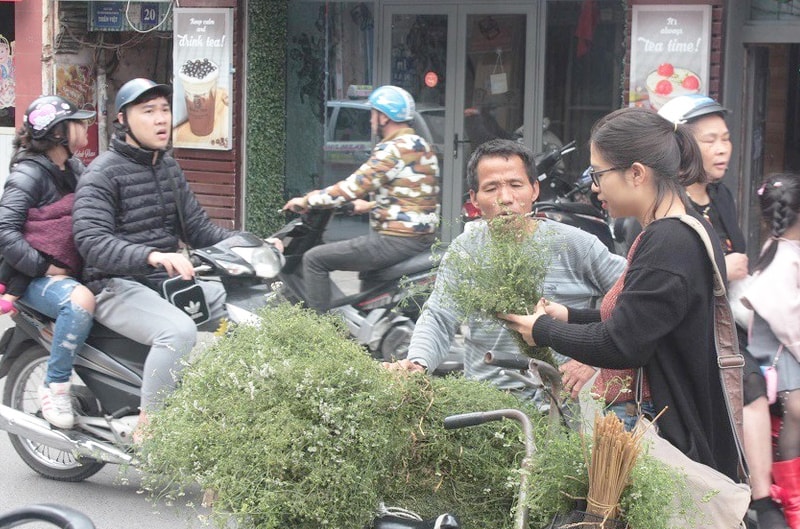 Nồi mùi già tỏa hương