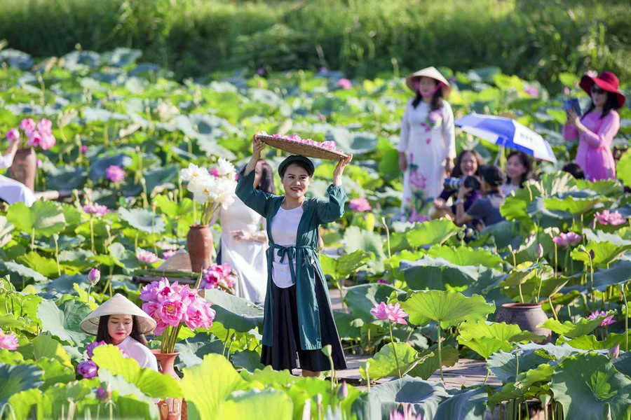 Lễ hội Sen Hà Nội 2026: Lan tỏa bản sắc Thăng Long - Hà Nội