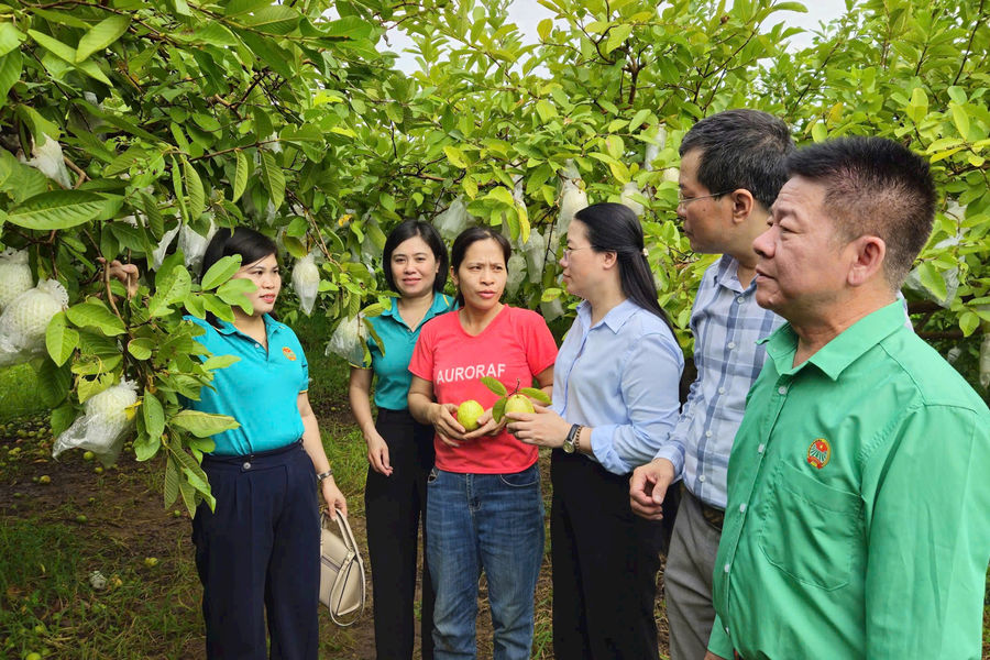 Hà Nội: Nông dân xã Yên Lãng lan tỏa trách nhiệm bảo vệ môi trường