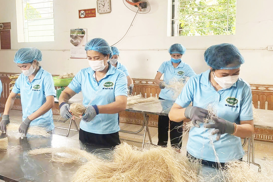 “Đại sứ” đặc sản làng quê trên thị trường số toàn cầu